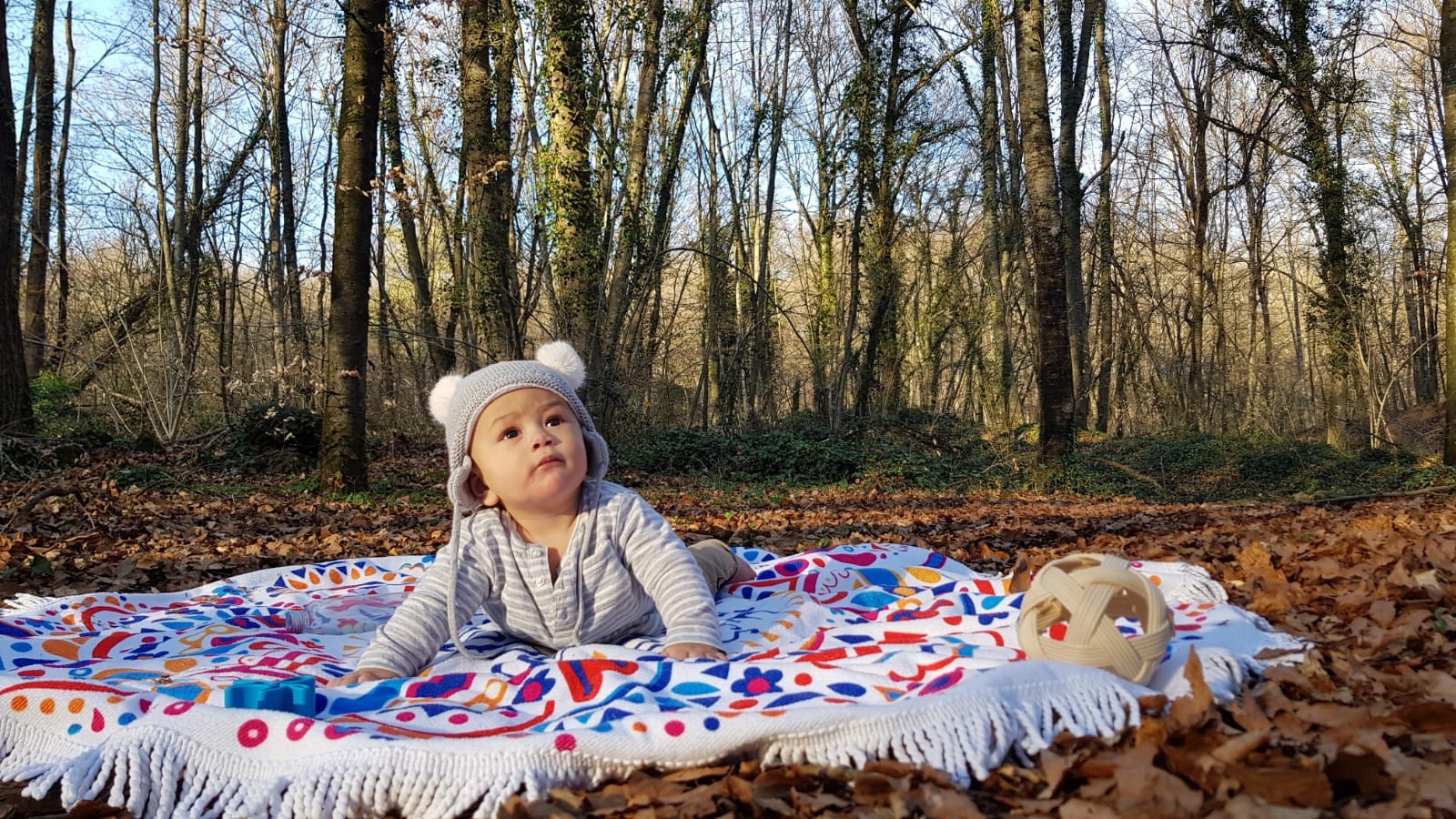 Text alternatiu (Bloque)